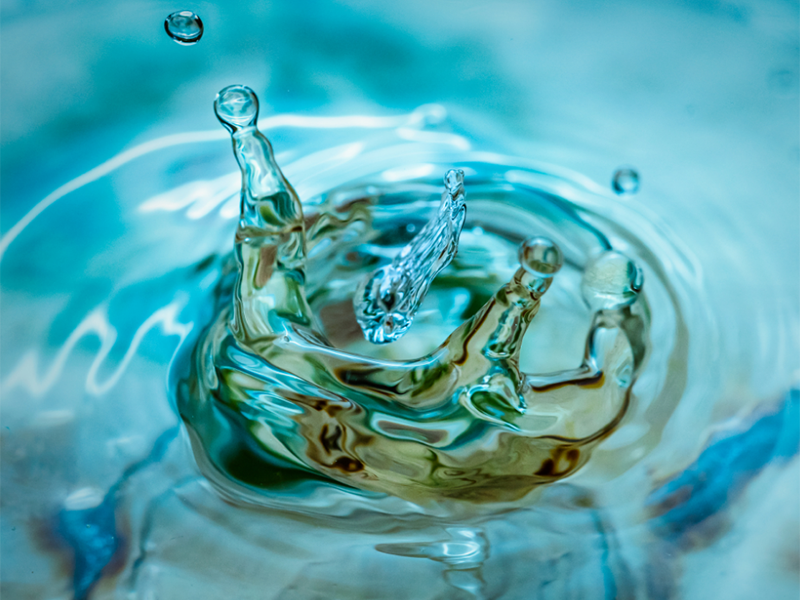 水質(zhì)生物毒性檢測