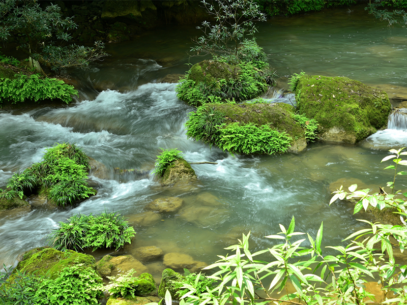 污水處理廠進(jìn)水余氯超標(biāo)怎么辦
