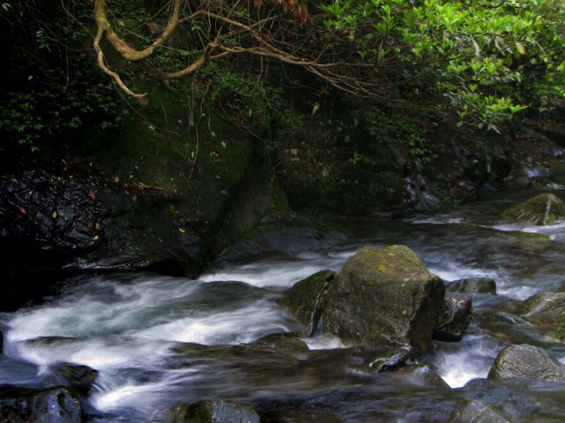 氨氮在線監(jiān)測(cè)儀原理