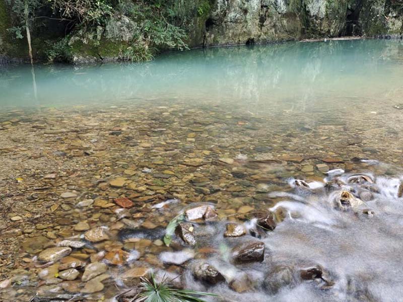 地表水水質(zhì)檢測標(biāo)準(zhǔn)限值是多少