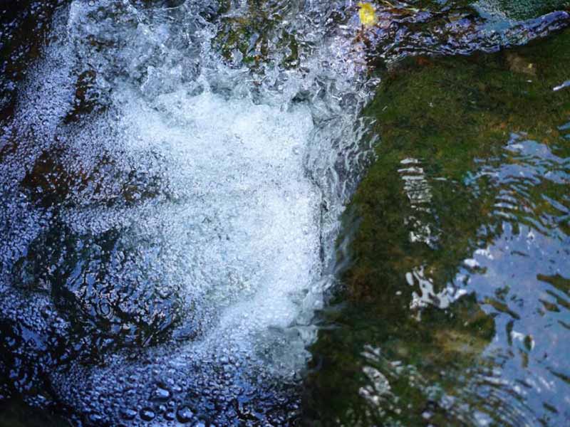 水質(zhì)COD檢測(cè)都需要使用試劑嗎