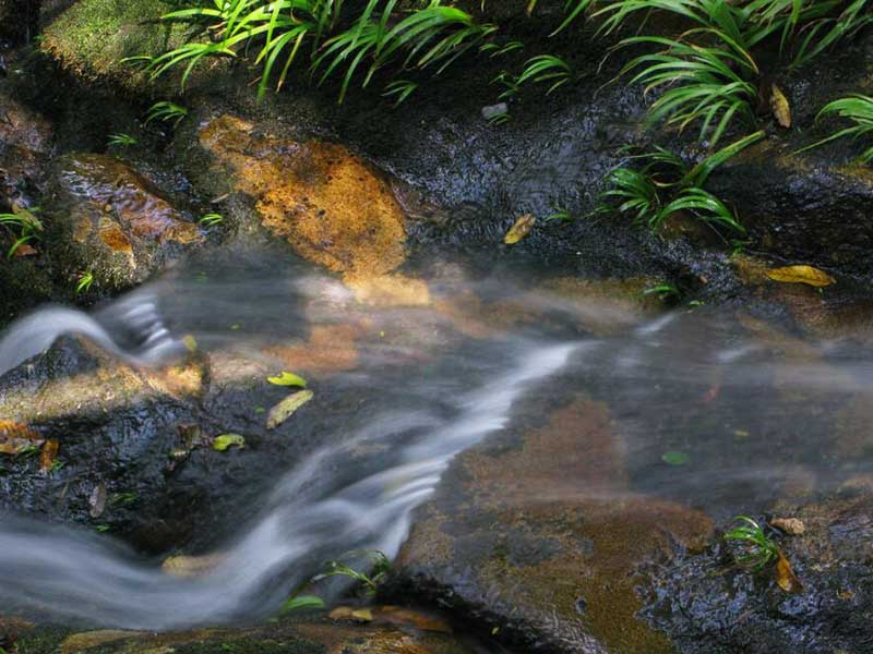 水質(zhì)總氮檢測(cè)方法有哪些