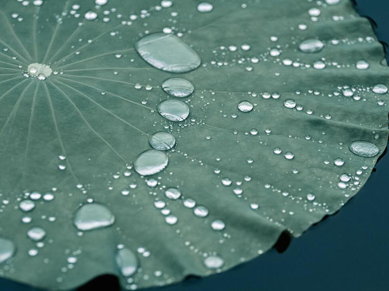 水質(zhì)微生物檢驗的基本原理
