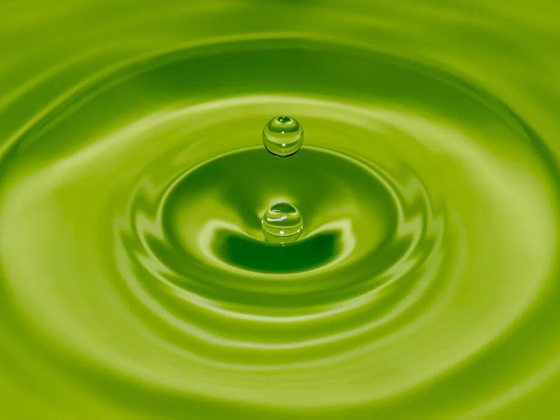 水質(zhì)葉綠素a檢測水樣采集與保存規(guī)范
