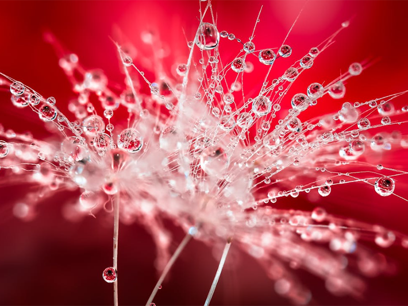 水質(zhì)大腸桿菌檢測方法有哪些